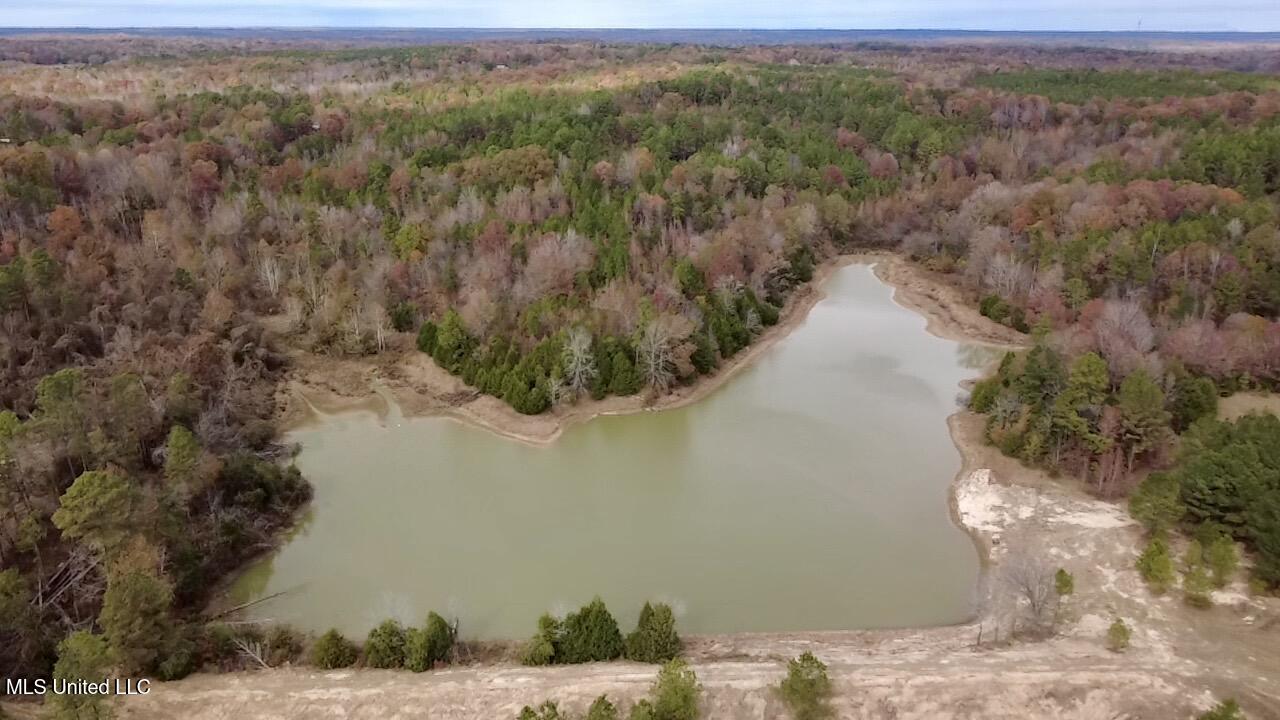 Border Road Carrollton, MS 38917 - Photo 13 of 26 2025-11-17-12-27-59-068