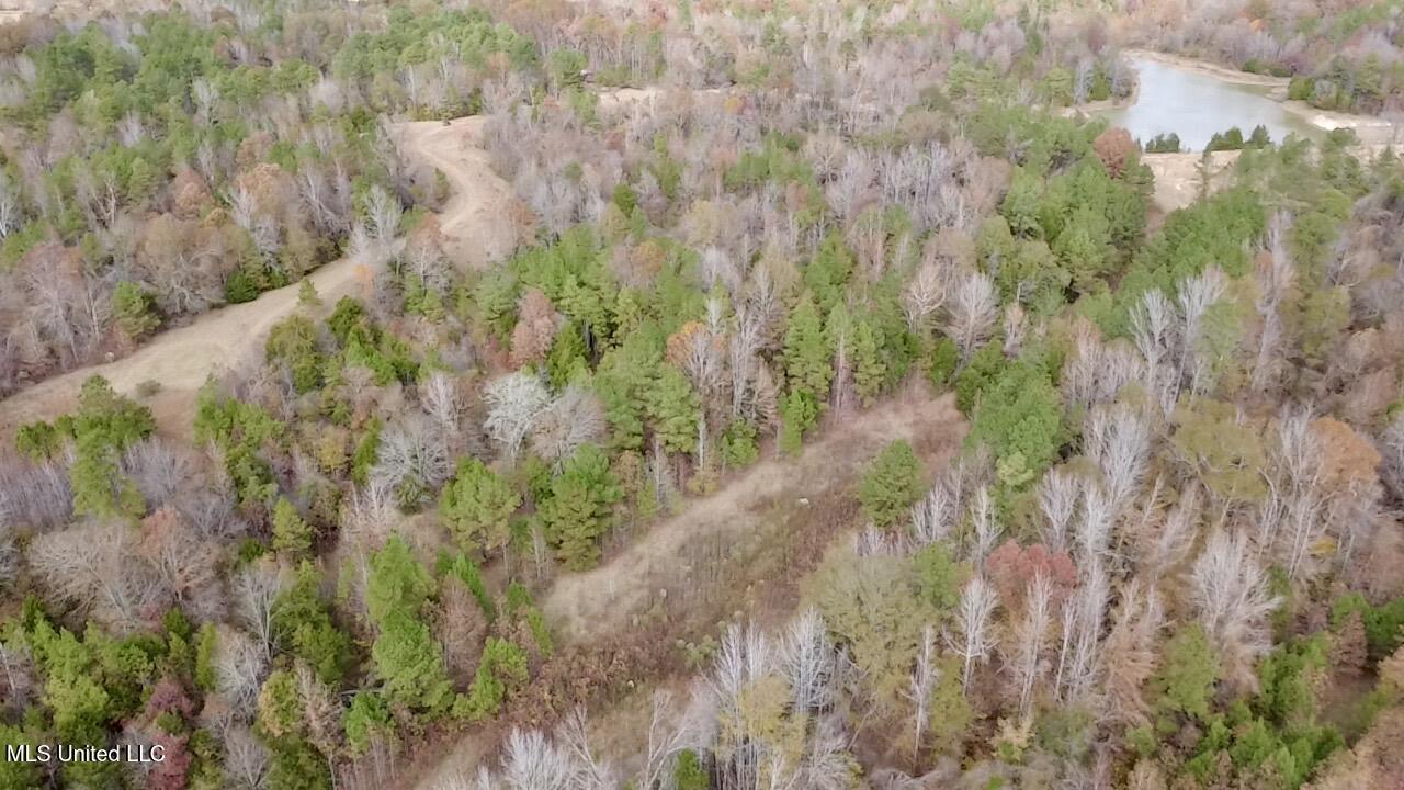 Border Road Carrollton, MS 38917 - Photo 15 of 26 2025-11-17-12-34-15-380