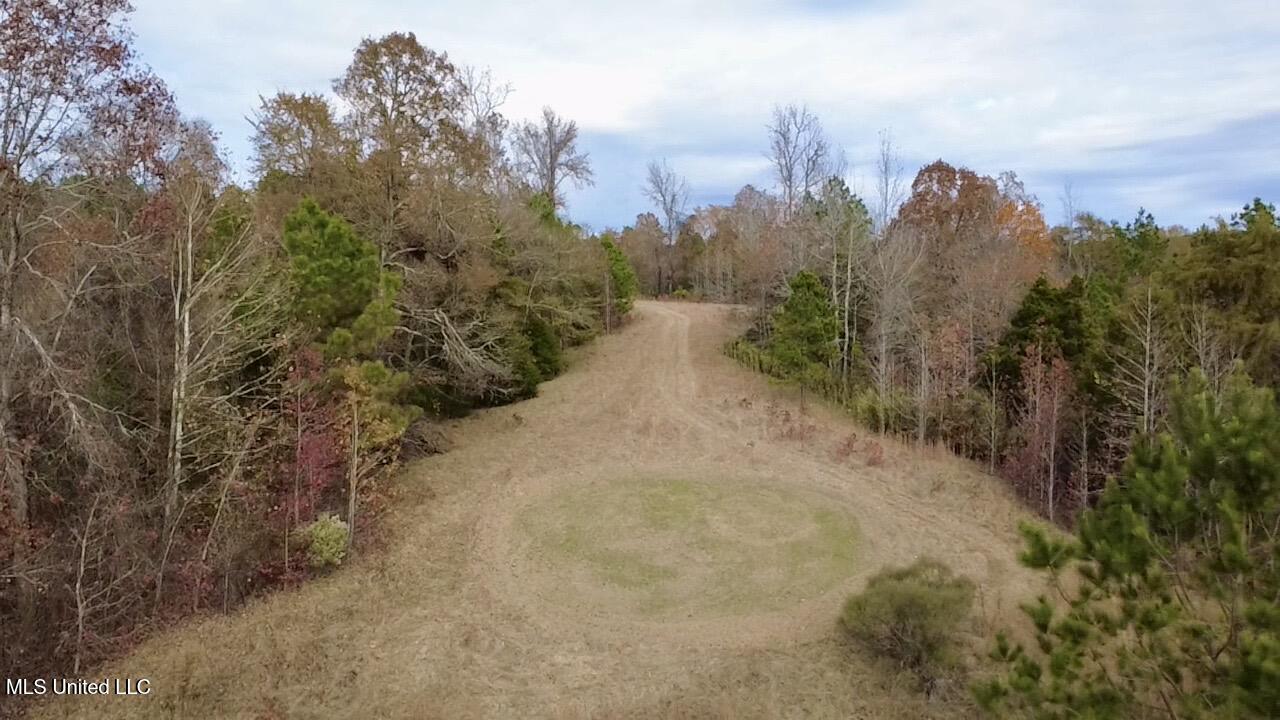 Border Road Carrollton, MS 38917 - Photo 16 of 26 2025-11-17-12-35-34-772