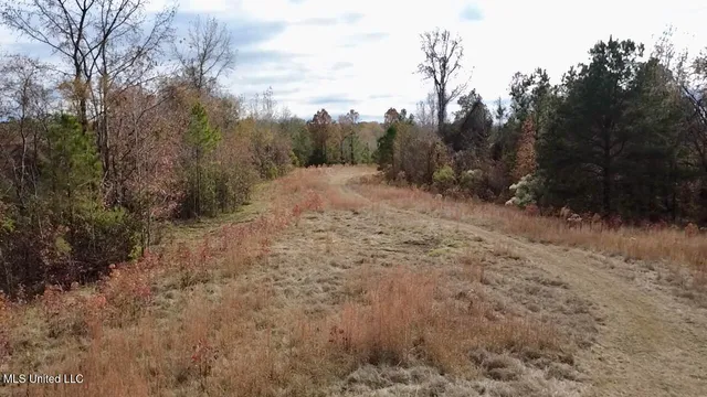 $415,800 | Border Road, Carrollton, MS 38917