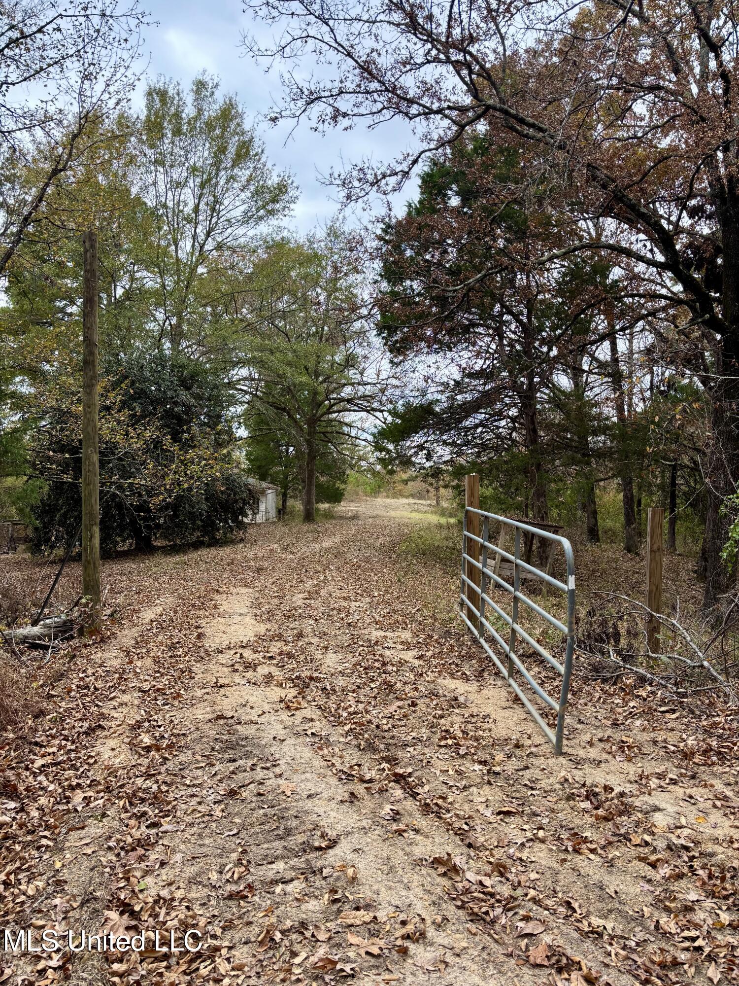 Border Road Carrollton, MS 38917 - Photo 18 of 26 IMG_2592