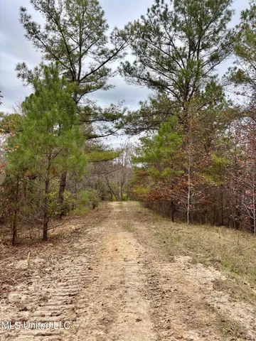 $415,800 | Border Road, Carrollton, MS 38917