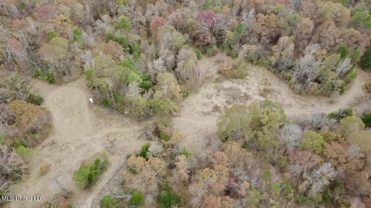Border Road Carrollton, MS 38917 - Photo 2 of 26 2025-11-17-12-12-15-287