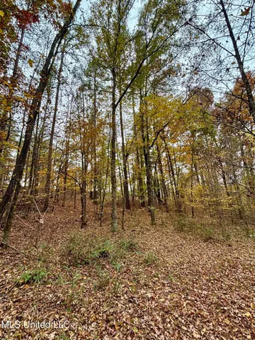 $415,800 | Border Road, Carrollton, MS 38917