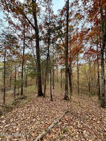 $415,800 | Border Road, Carrollton, MS 38917