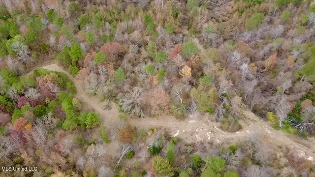 $415,800 | Border Road, Carrollton, MS 38917