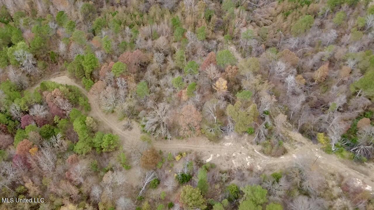 Border Road Carrollton, MS 38917 - Photo 3 of 26 2025-11-17-12-12-33-400