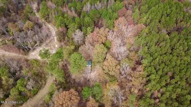 $415,800 | Border Road, Carrollton, MS 38917