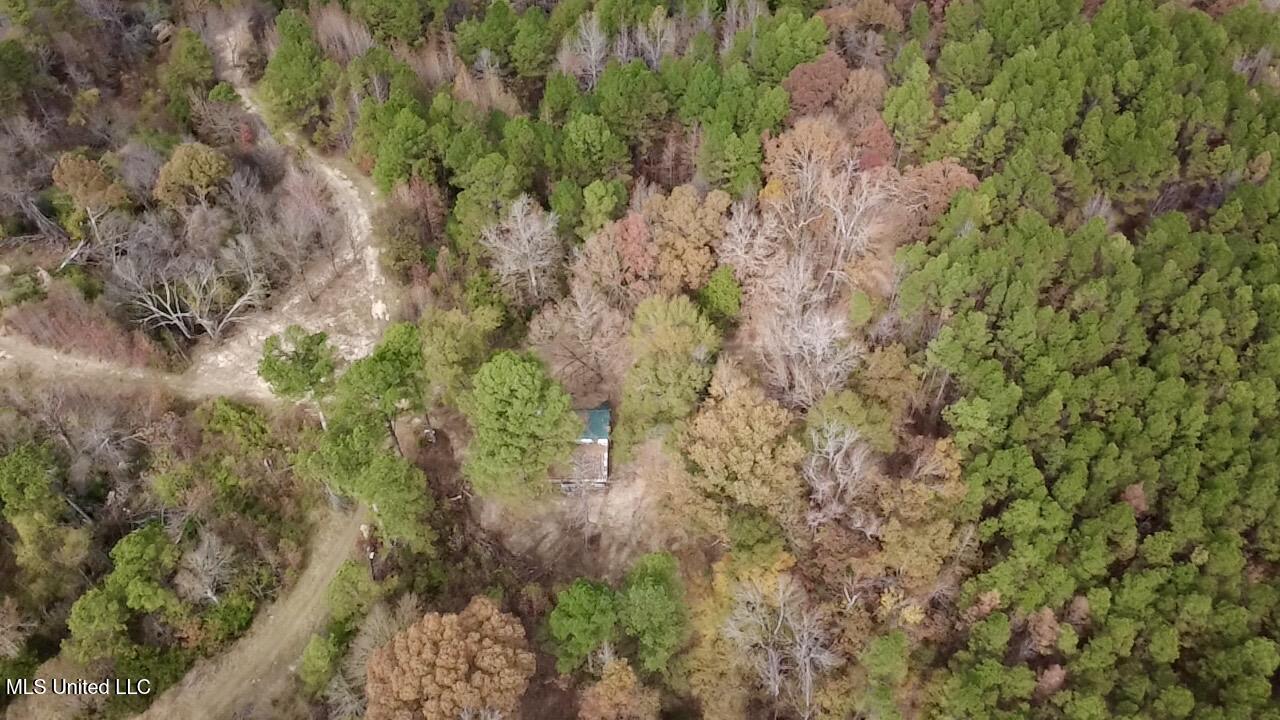 Border Road Carrollton, MS 38917 - Photo 4 of 26 2025-11-17-12-14-39-842