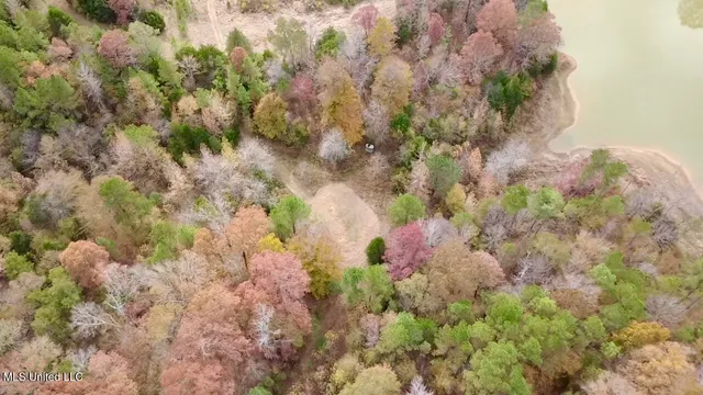 $415,800 | Border Road, Carrollton, MS 38917