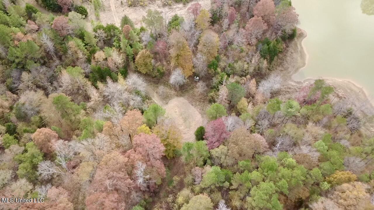 Border Road Carrollton, MS 38917 - Photo 5 of 26 2025-11-17-12-16-38-454