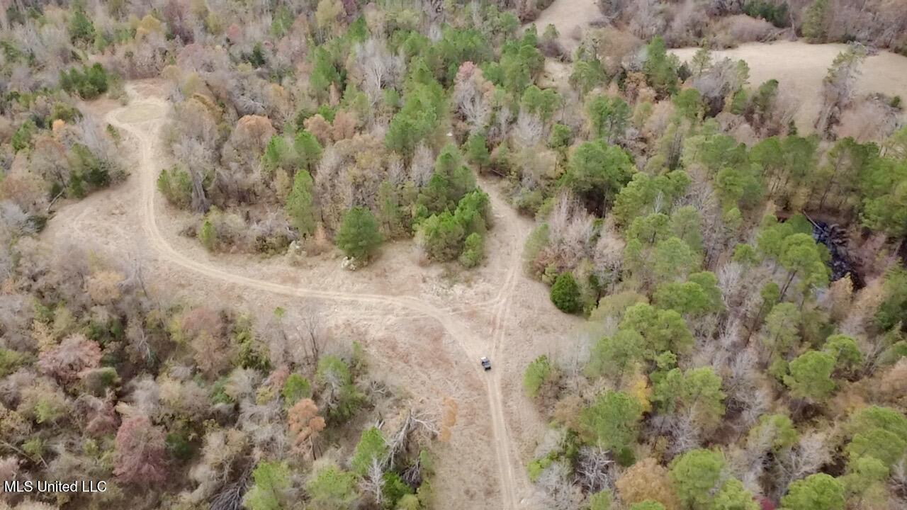 Border Road Carrollton, MS 38917 - Photo 6 of 26 2025-11-17-12-18-06-155