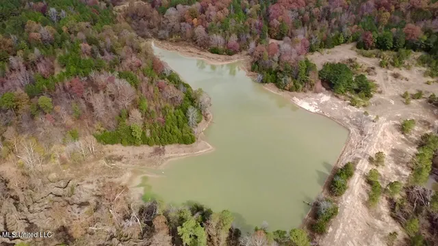 $415,800 | Border Road, Carrollton, MS 38917