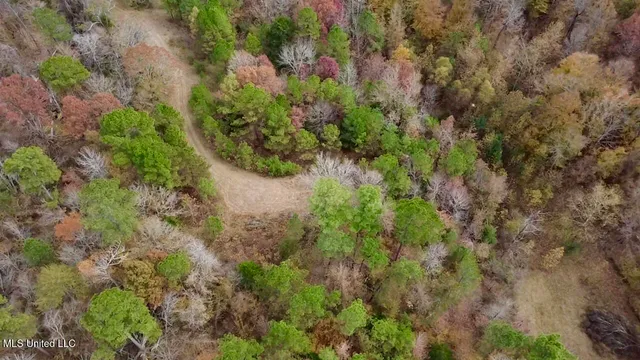 $415,800 | Border Road, Carrollton, MS 38917