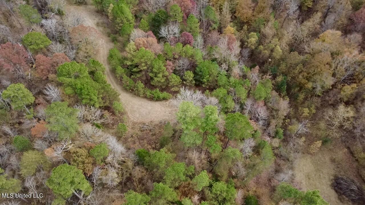 Border Road Carrollton, MS 38917 - Photo 9 of 26 2025-11-17-12-23-16-951