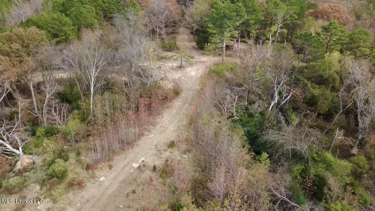 Border Road Carrollton, MS 38917 - Photo 10 of 26 2025-11-17-12-24-30-454