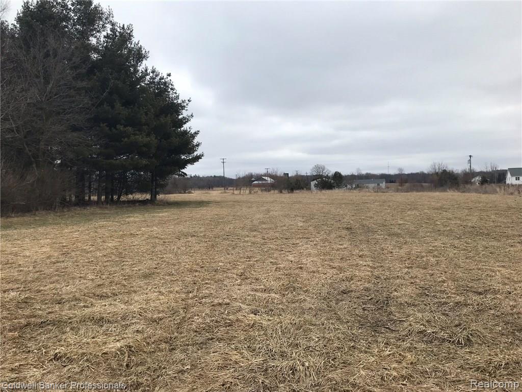 0 Hayden Road Attica, MI 48412 - Photo 1 of 7