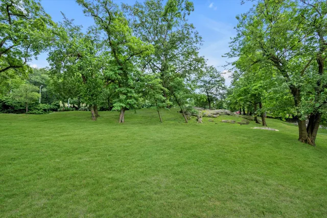 a view of green field with trees in the background
