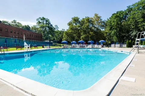 a view of a swimming pool with a yard and plants