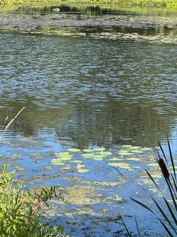 a view of a water view