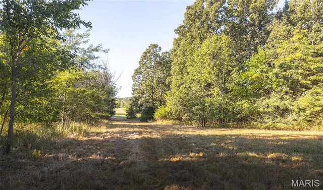 $1 | Mm-tract 4 Lebanon Mo 65536, Lebanon, MO 65536