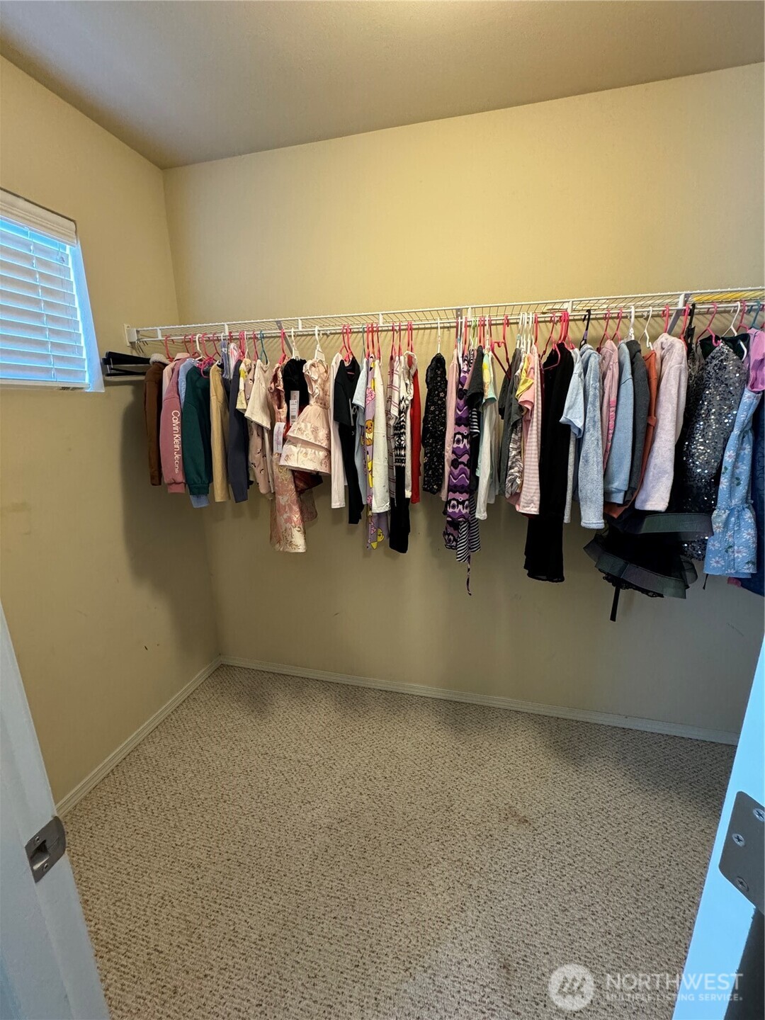 1175 Swan Loop DuPont, WA 98327 - Photo 17 of 34 a view of walk in closet with clothes and shoes