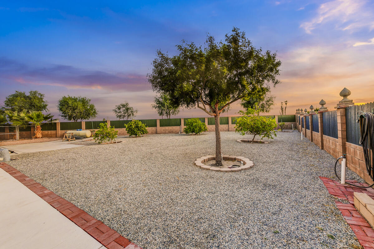 2902 Treadwell Boulevard Thermal, CA 92274 - Photo 29 of 88 29 SIDE YARD MLS