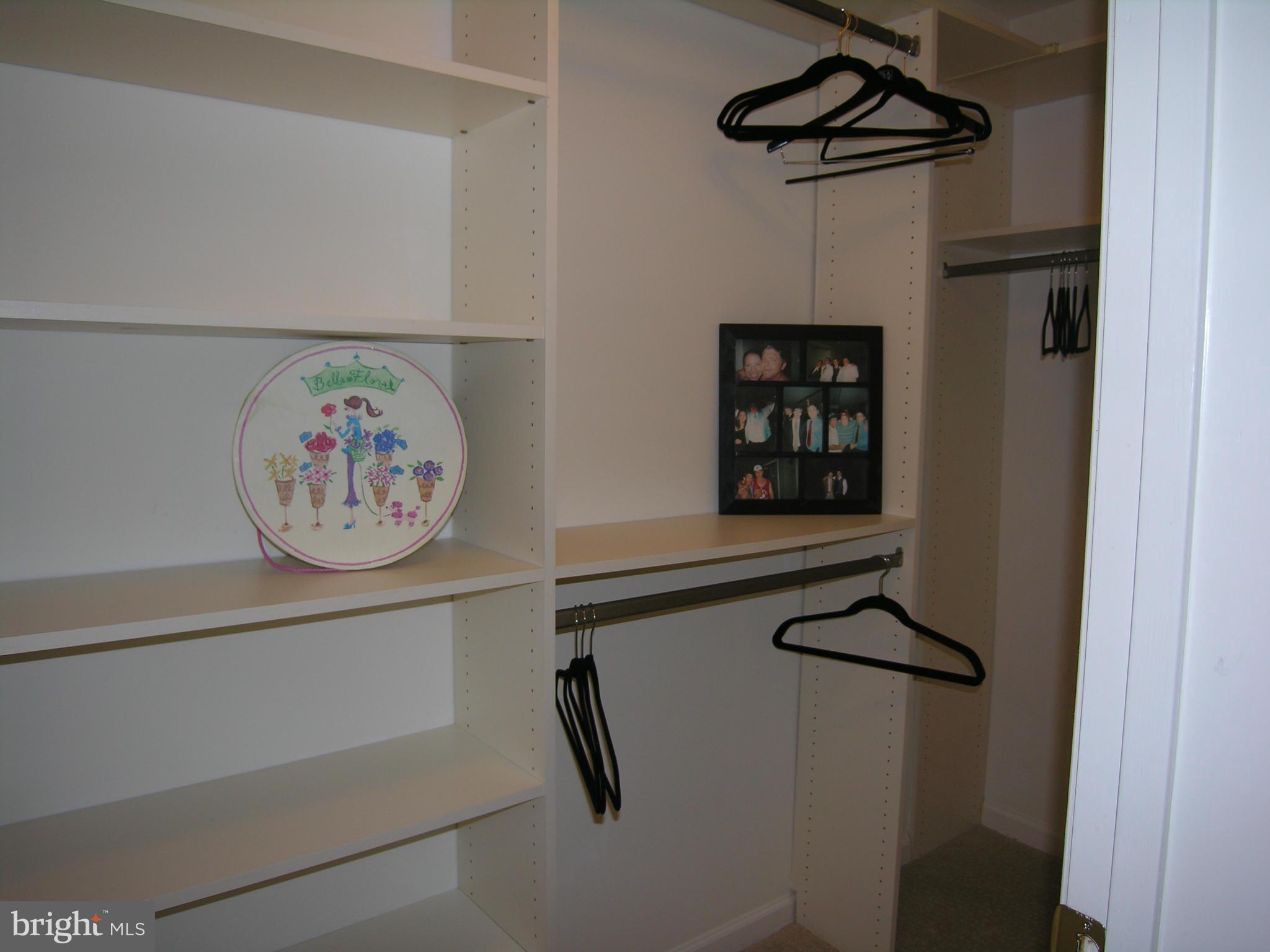 12081 Trumbull Way, Unit 20819 Reston, VA 20190 - Photo 3 of 8 Master Bedroom Closet