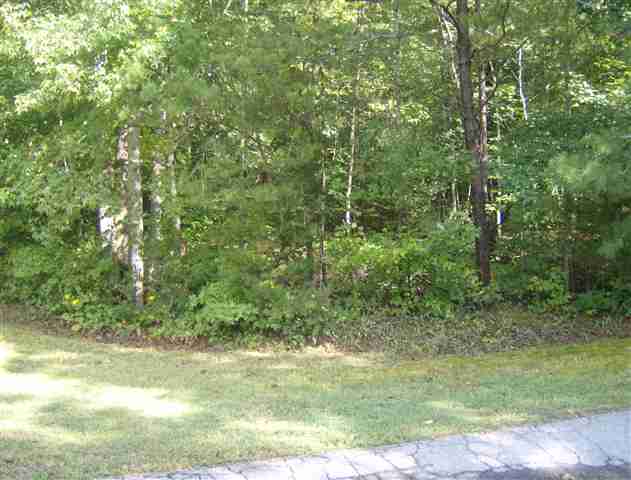230 Gauley Falls Road Pickens, SC 29671 - Photo 1 of 2 Gallery Image 1