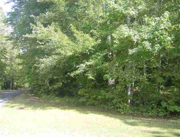 230 Gauley Falls Road Pickens, SC 29671 - Photo 2 of 2 Gallery Image 2