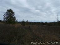 Lot 9 Battleground Road Cowpens, SC 29330 - Photo 1 of 1
