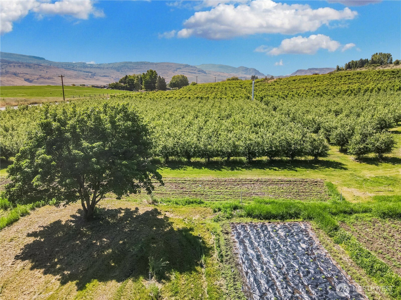 223 Old Riverside Highway Omak, WA 98841 - Photo 6 of 25