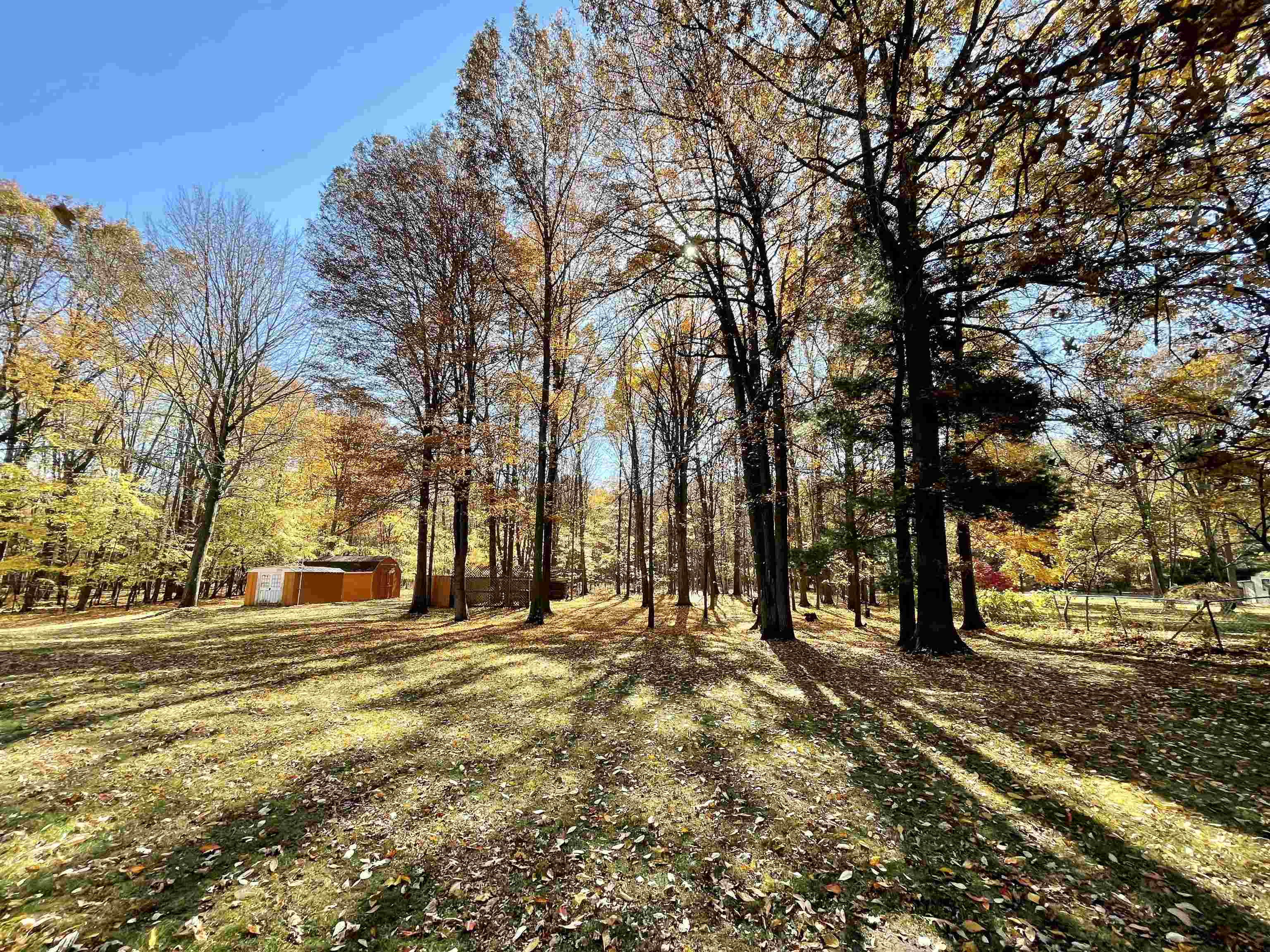 12101 Lakefield Road St. Charles, MI 48655 - Photo 64 of 73