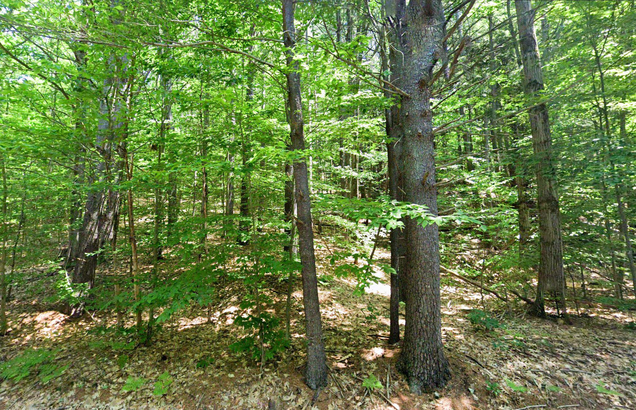 725 Mountain Road Jaffrey, NH 03452 - Photo 6 of 12