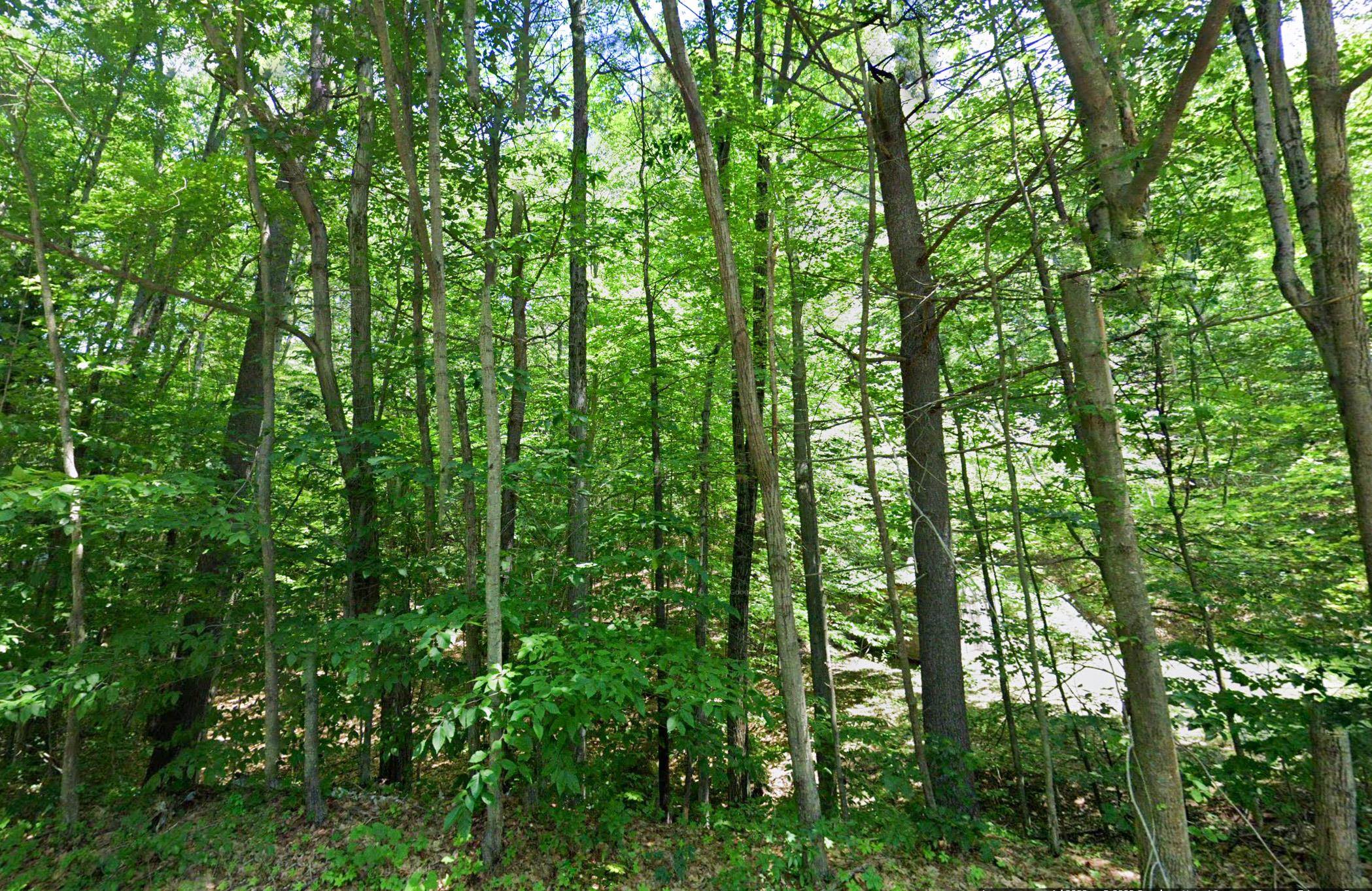 725 Mountain Road Jaffrey, NH 03452 - Photo 8 of 12