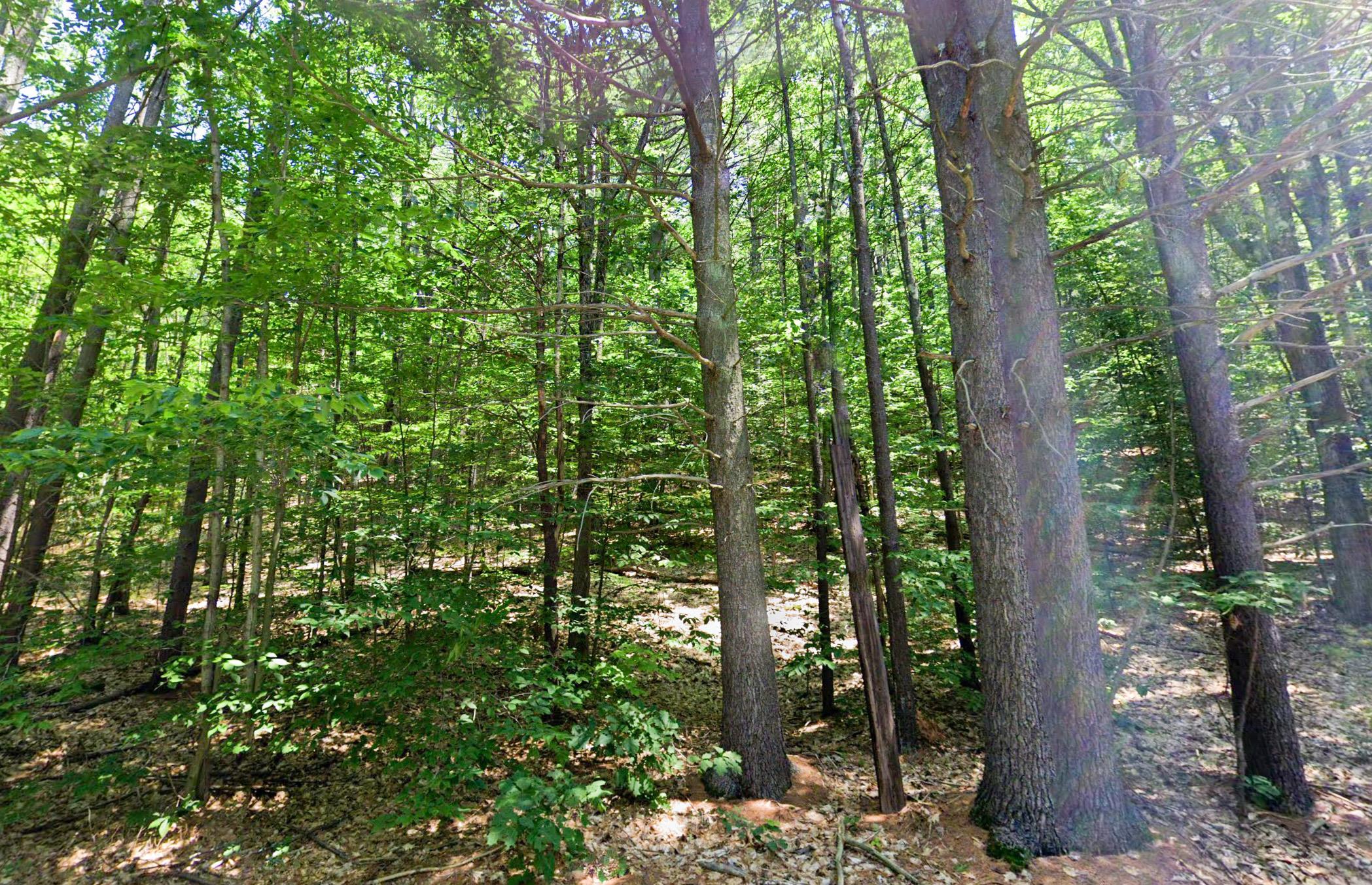725 Mountain Road Jaffrey, NH 03452 - Photo 10 of 12