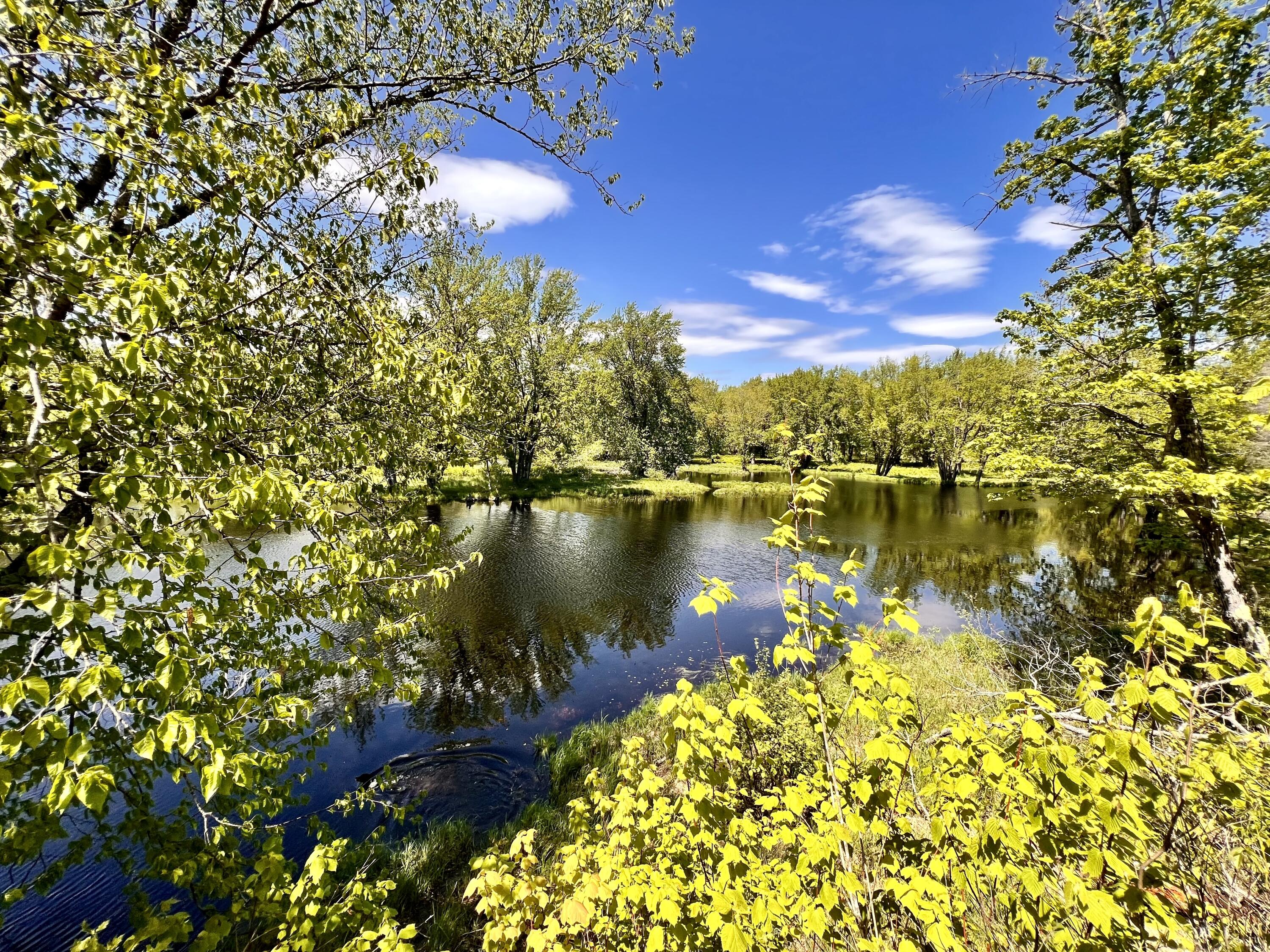 138 Reardon Road Milo, ME 04463 - Photo 118 of 123 Pretty Water Frontage
