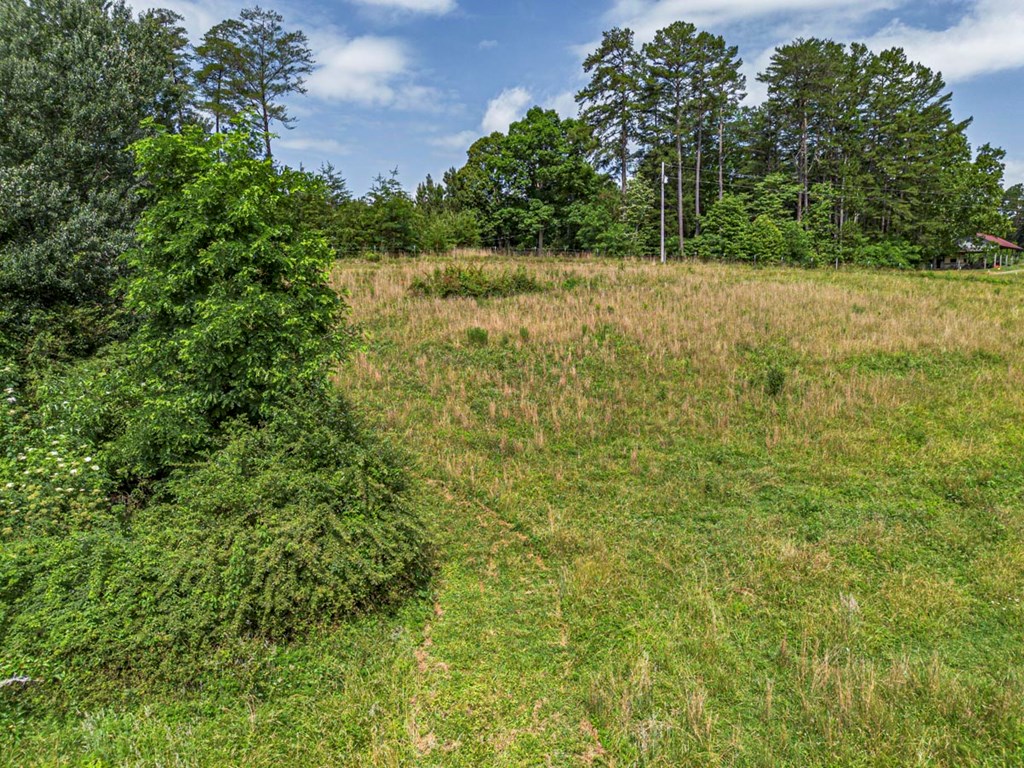 541 Pleasant Hill Road Copperhill, TN 37317 - Photo 15 of 20