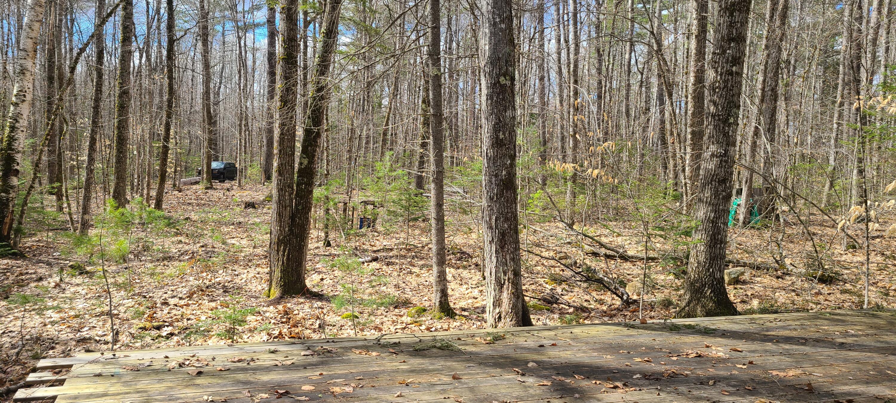 279 Etna Pond Road Carmel, ME 04419 - Photo 9 of 12 20220420_094720