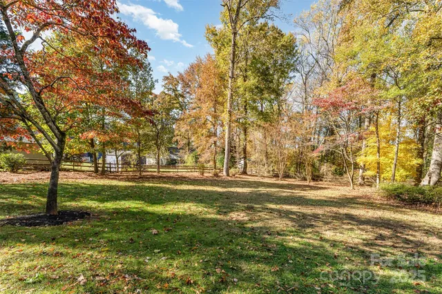 a view of road and trees
