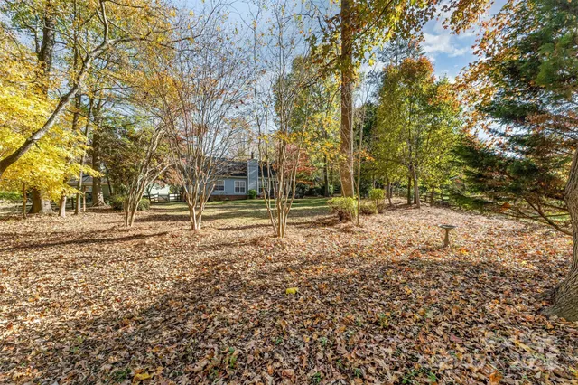 a view of road with trees