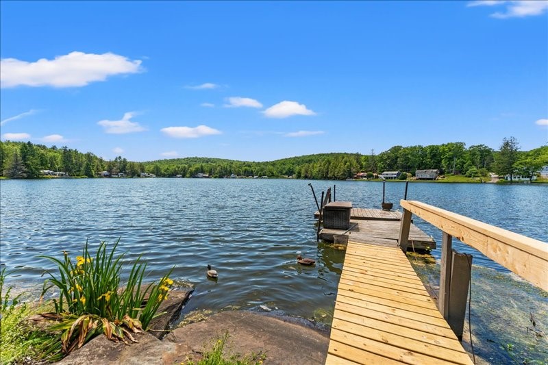 79 Mountain Road Windsor, NY 13865 - Photo 7 of 46
