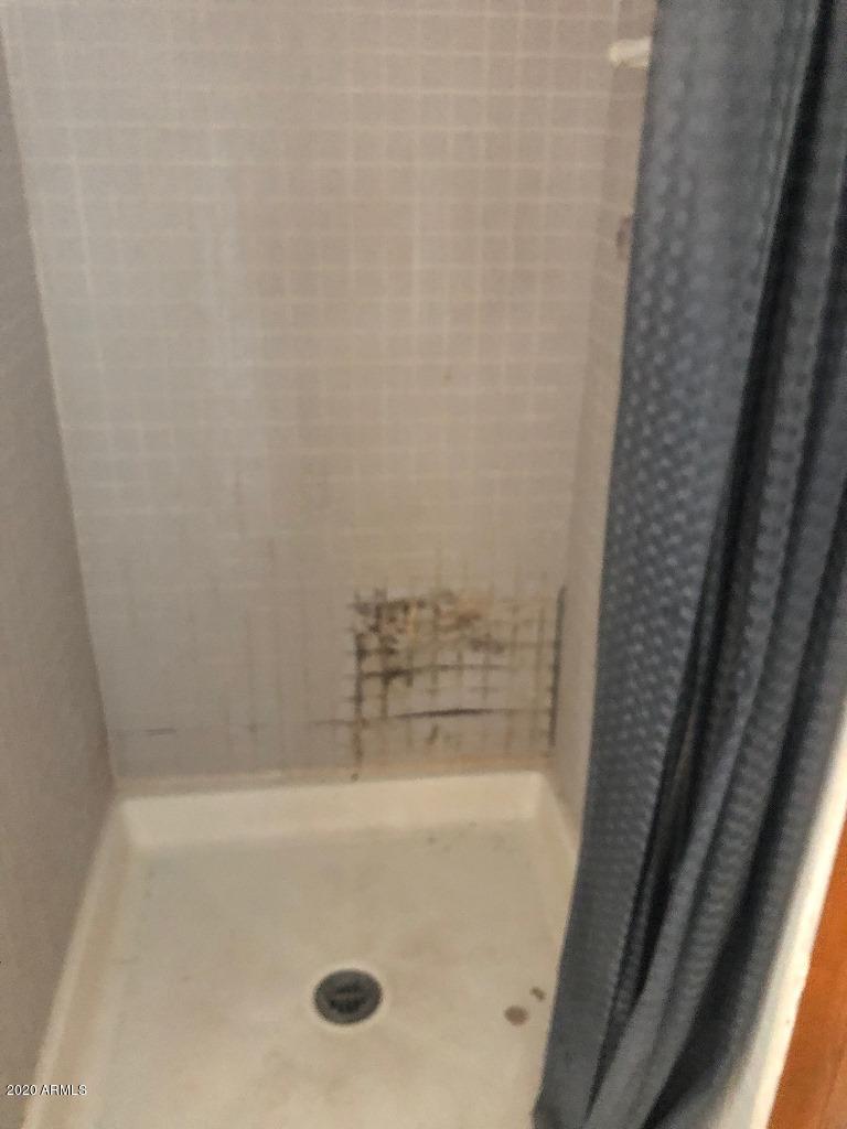 10076 North Mormon Road Elfrida, AZ 85610 - Photo 20 of 49 Master Shower