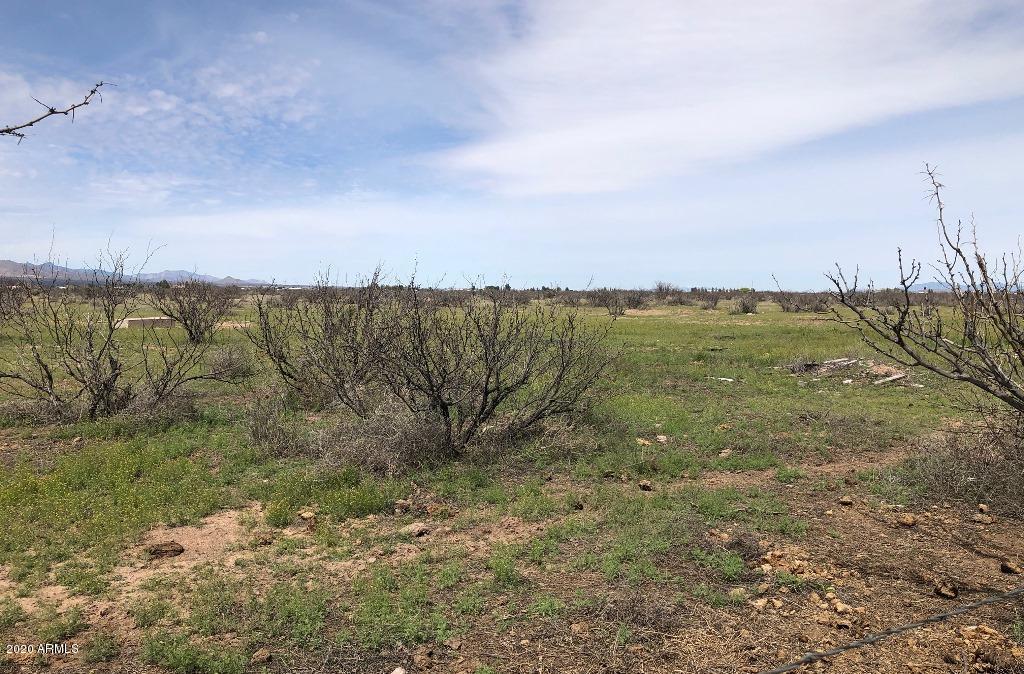 10076 North Mormon Road Elfrida, AZ 85610 - Photo 45 of 49 West pasture