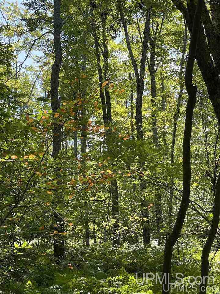 220 W Ford Lake Road Germfask, MI 49836 - Photo 12 of 26