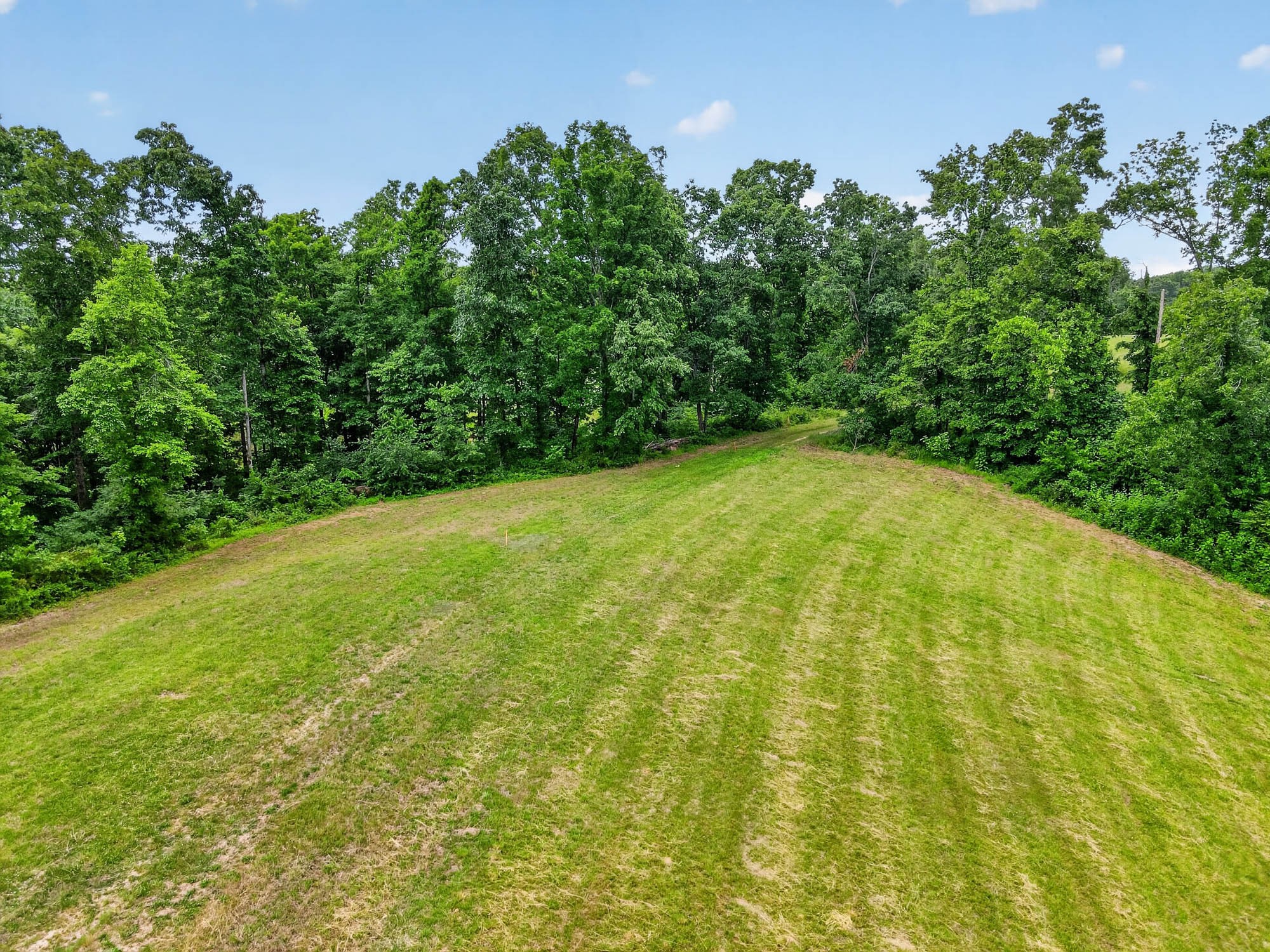 7393 South Harpeth Road Franklin, TN 37064 - Photo 7 of 27