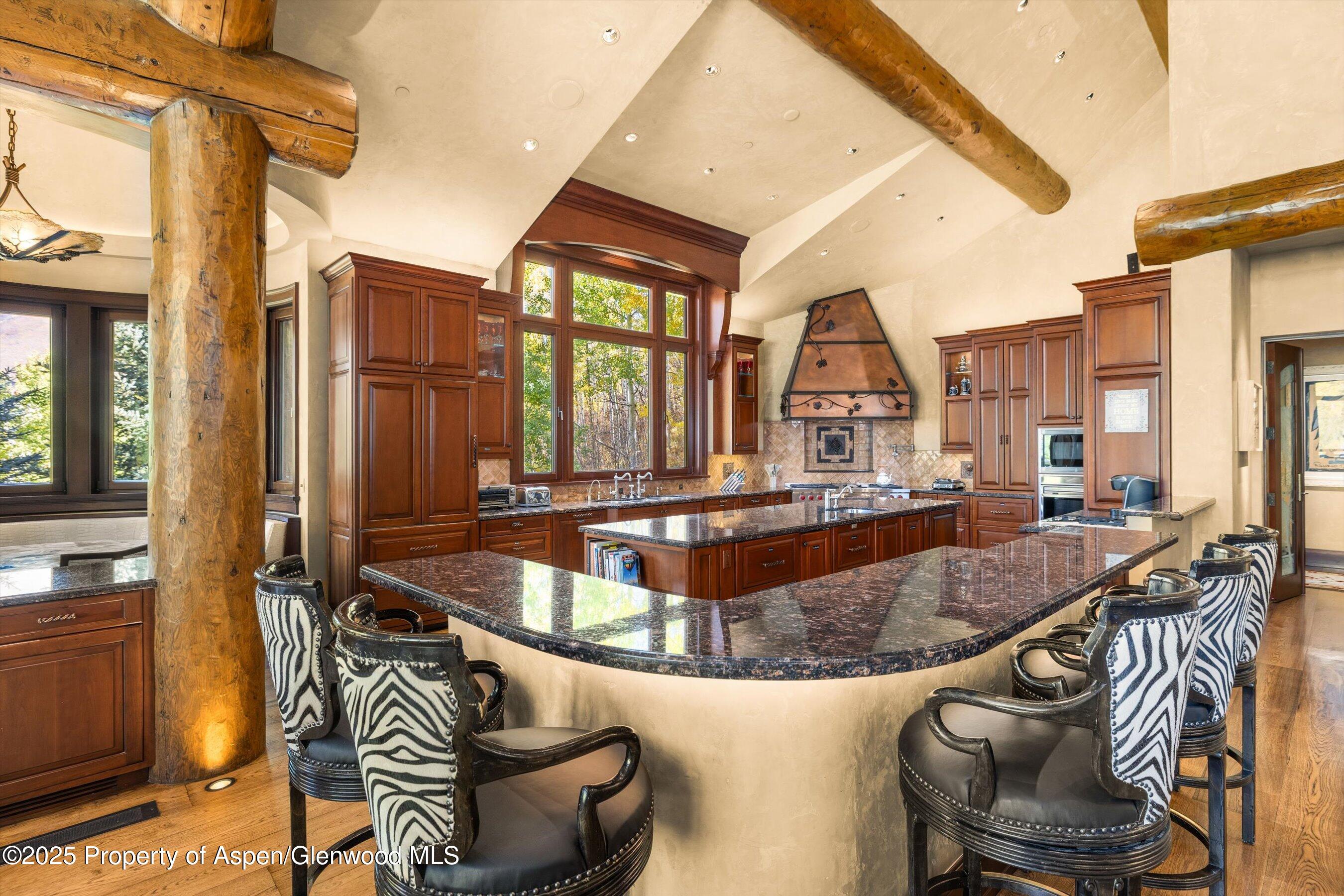 928 South Mill Street Aspen, CO 81611 - Photo 14 of 22 Great Room