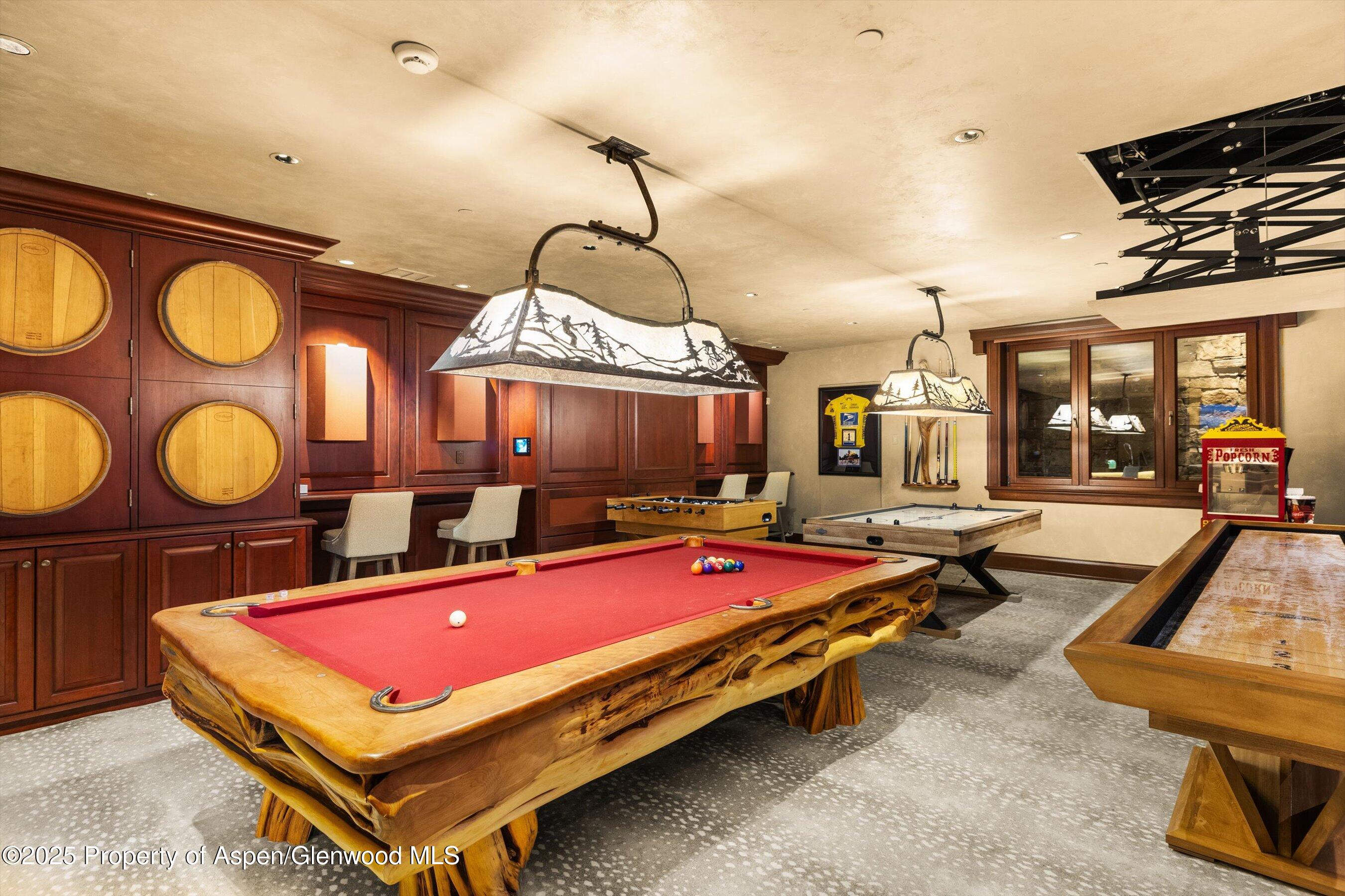 928 South Mill Street Aspen, CO 81611 - Photo 20 of 22 Theater/Game Room