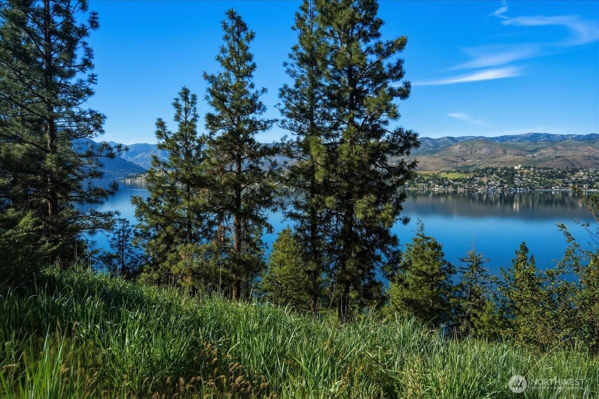 7376 Ridgeview Drive Chelan, WA 98816 - Photo 7 of 21 a view of a lake with houses in back