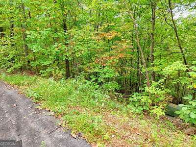 Lot 28 Skyview Drive Hayesville, NC 28904 - Photo 4 of 14 a view of a garden